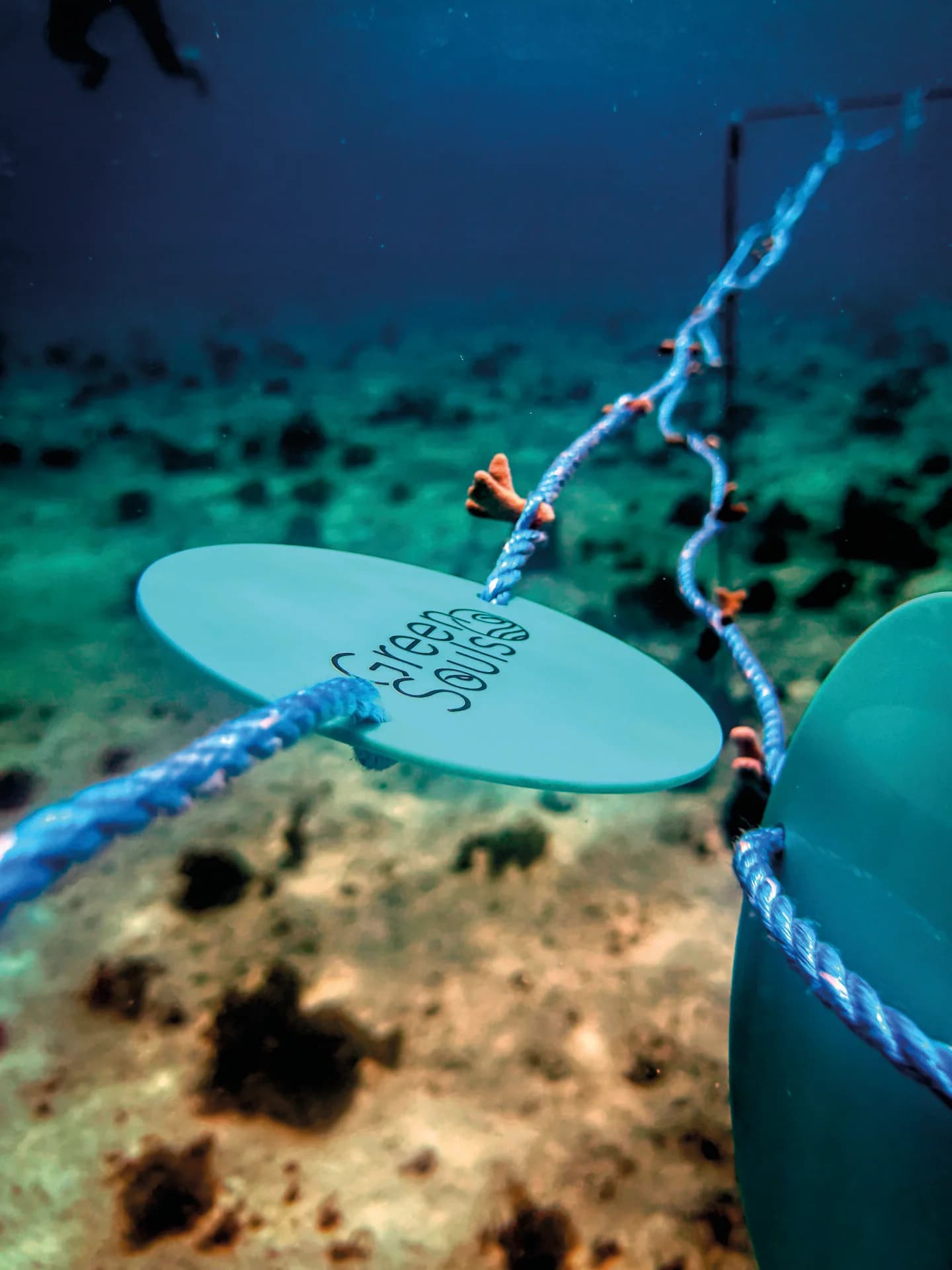 Two people collaborating