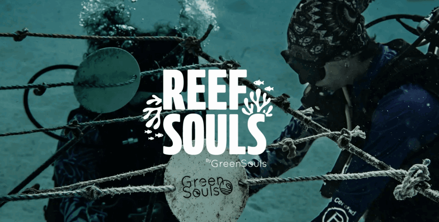 Coral reef underwater